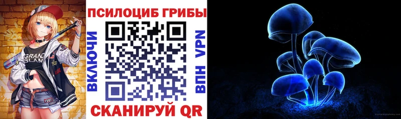 blacksprut ССЫЛКА  Красный Сулин  Псилоцибиновые грибы Cubensis  купить  цена 
